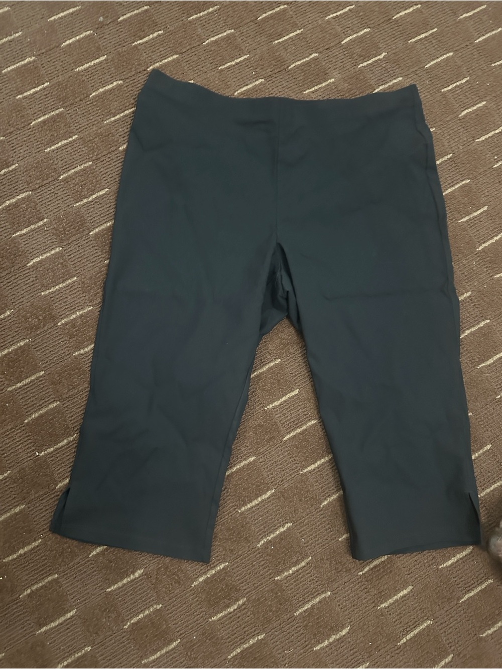 Wild Fable Stretch Capri Bottoms